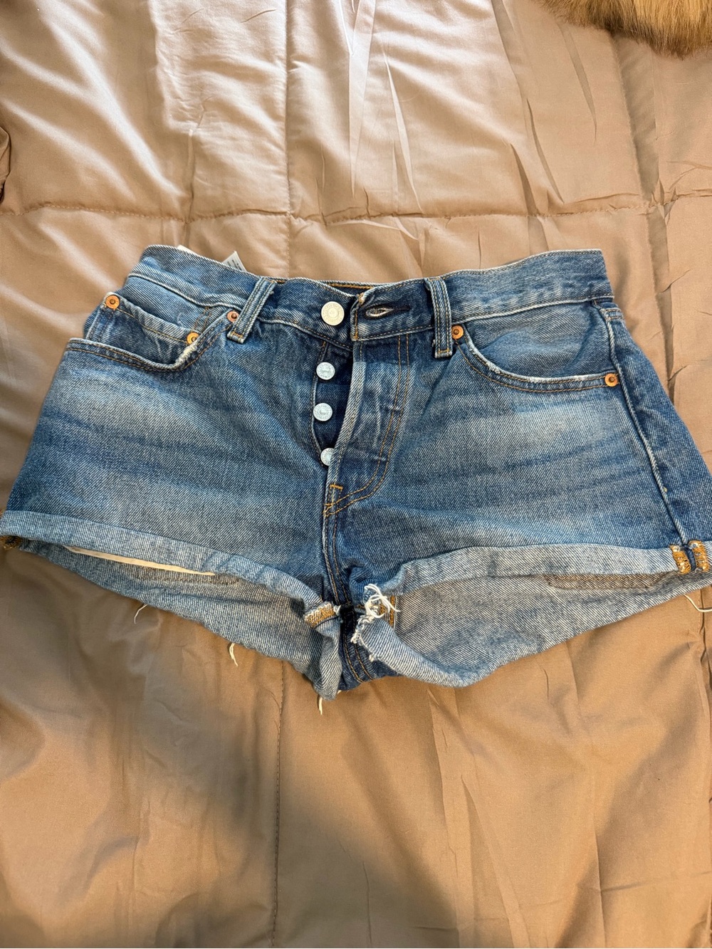 AE faded Blue Button-Fly Denim Shorts